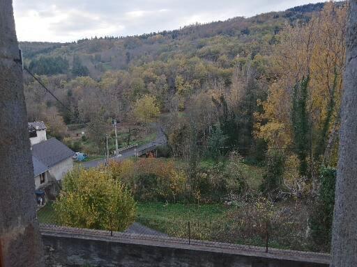 Villa Les Granges à Saint-Nectaire Extérieur photo